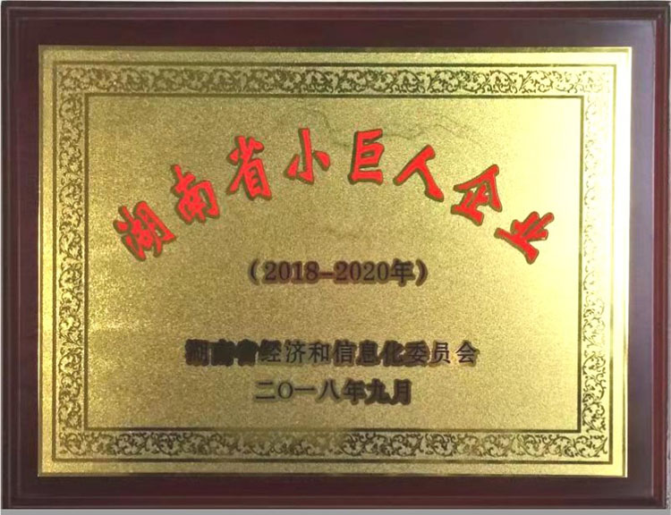 湖南省小巨人企業